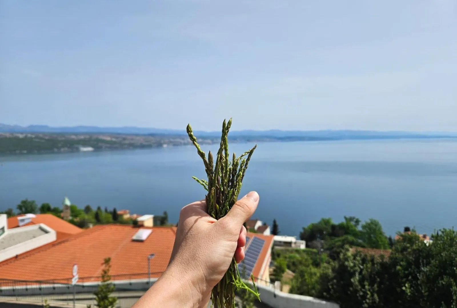 Rose'S Corner Apartment Opatija